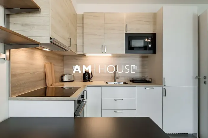 Pronájem bytu 1+kk, Praha - Žižkov, Olgy Havlové, 38 m2