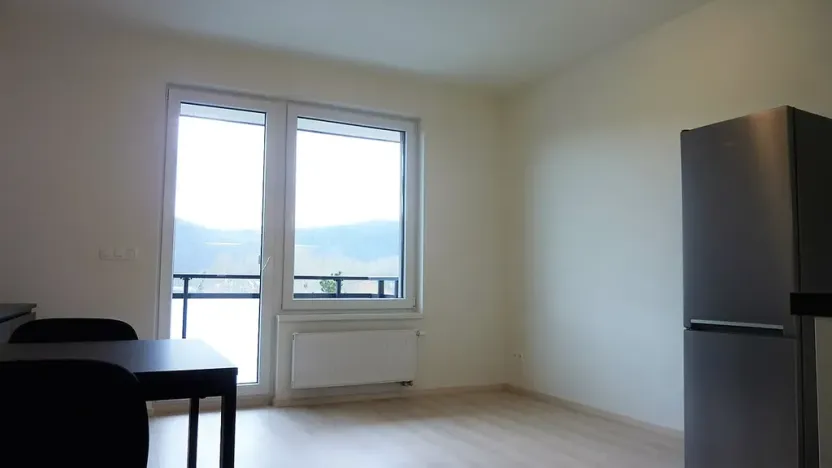 Pronájem bytu 1+kk, Praha - Hodkovičky, Šífařská, 34 m2