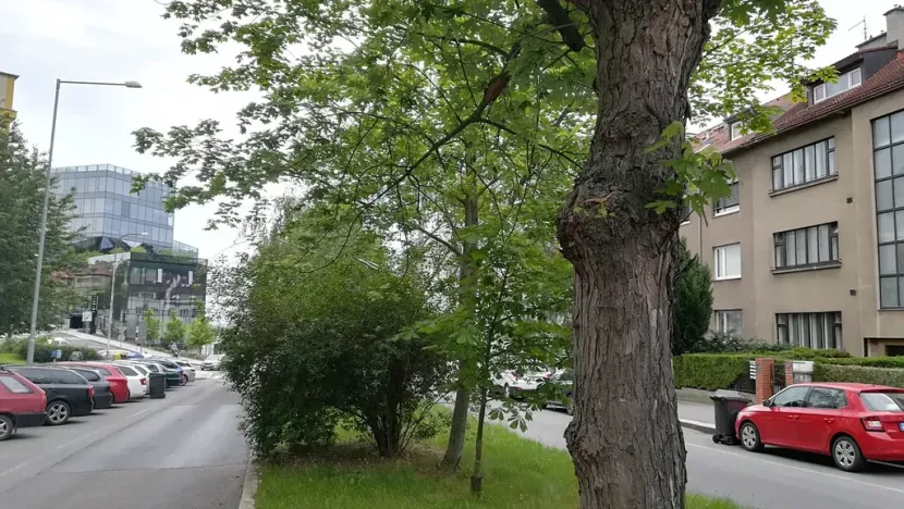 Pronájem bytu 2+1, Praha, Kladenská, 82 m2