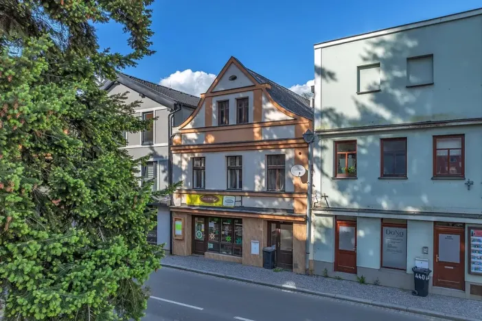 Prodej komerční nemovitosti, Litomyšl, Havlíčkova, 295 m2