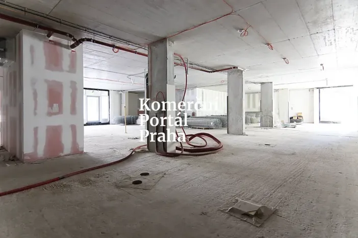 Pronájem restaurace, Praha - Nusle, Lomnického, 470 m2