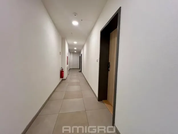 Pronájem bytu 1+kk, Brno, Gajdošova, 33 m2