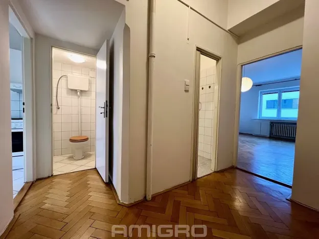 Pronájem bytu 1+1, Brno, Cihlářská, 49 m2