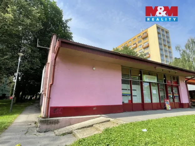 Pronájem obchodního prostoru, Ostrava, Vietnamská, 166 m2