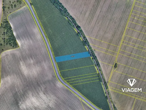 Prodej podílu pole, Valtice, 979 m2