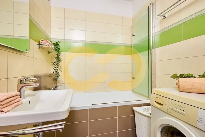 Prodej bytu 3+kk, Borek, Družstevní, 67 m2