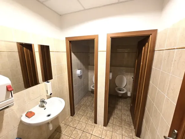 Pronájem výrobních prostor, Brno, Franzova, 785 m2