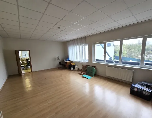 Pronájem výrobních prostor, Brno, Franzova, 785 m2