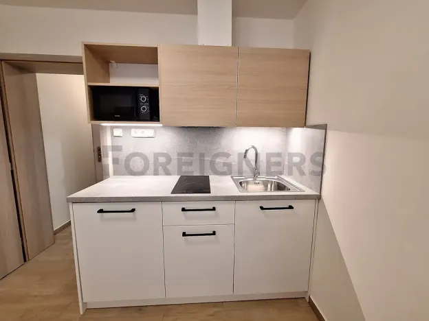 Pronájem bytu 1+kk, Olomouc, 1. máje, 20 m2