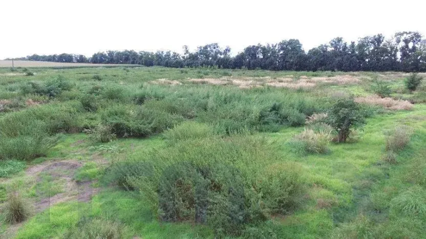 Prodej komerčního pozemku, Troskotovice, 28136 m2