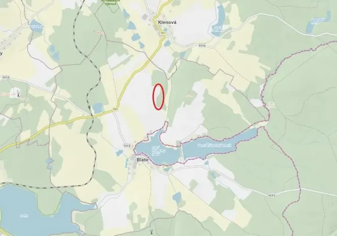Prodej lesa, Nová Bystřice, 708 m2