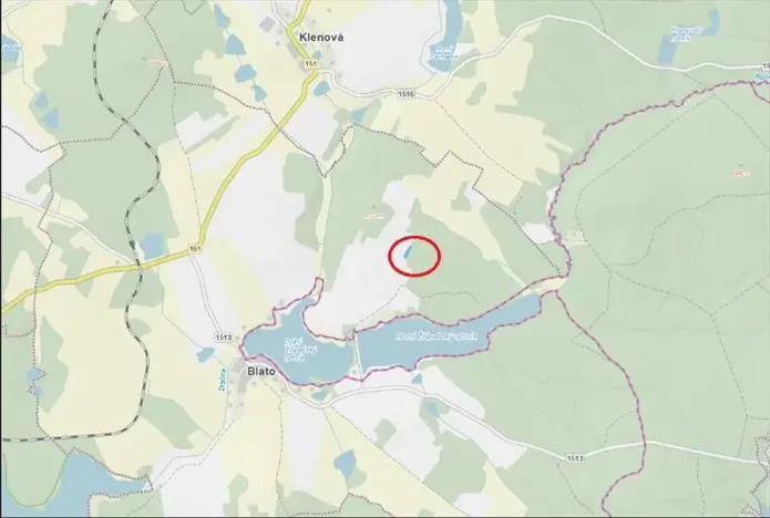 Prodej lesa, Nová Bystřice, 2850 m2