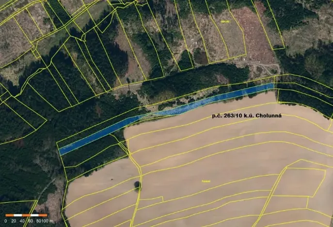 Prodej lesa, Žirovnice, 7361 m2