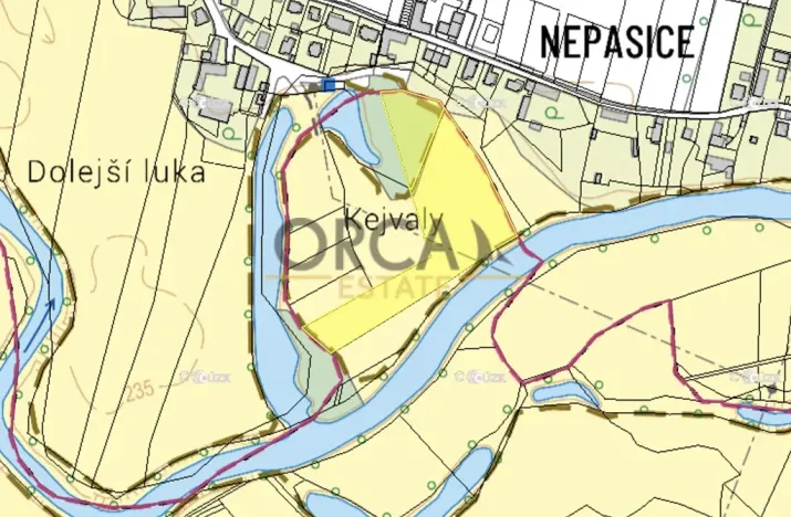 Prodej louky, Běleč nad Orlicí, 15624 m2