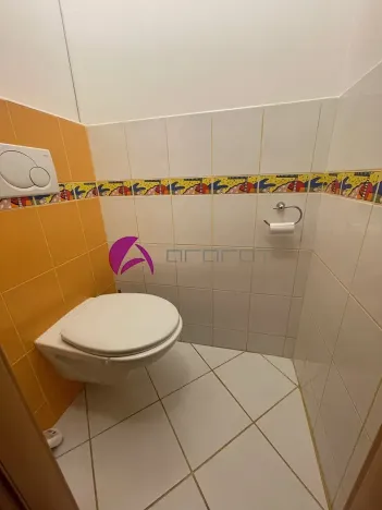 Pronájem bytu 3+1, Olomouc, Polská, 75 m2