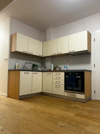 Pronájem bytu 5+1, Praha - Holešovice, Bubenská, 209 m2