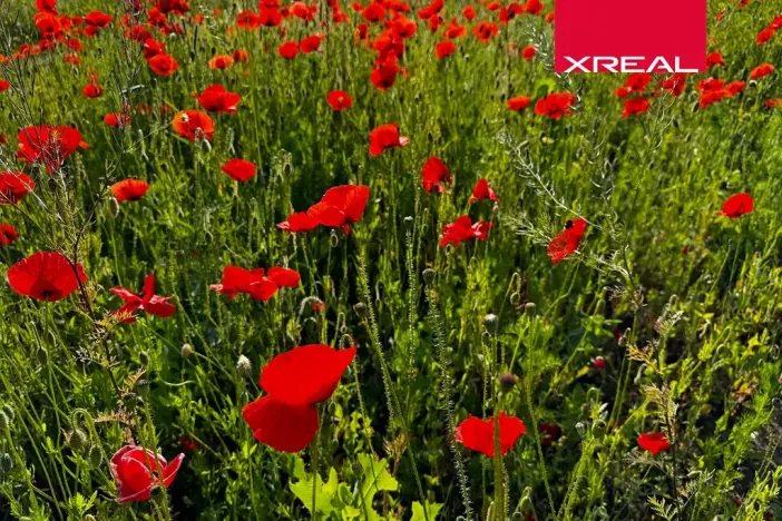 Prodej rodinného domu, Kamenice, Lomená, 157 m2