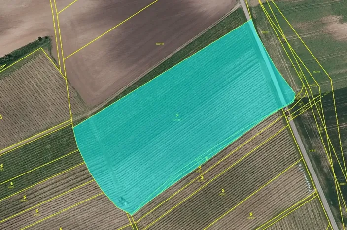 Prodej pole, Čejkovice, 25676 m2