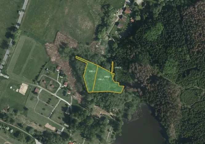 Prodej lesa, Počátky, 4120 m2