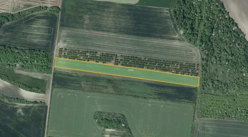 Prodej sadu/vinice, Želkovice, 8289 m2