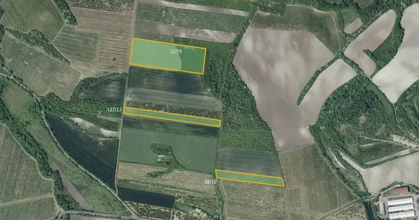 Prodej sadu/vinice, Želkovice, 133318 m2