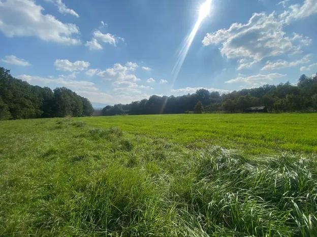 Prodej rodinného domu, Horní Bludovice, 524 m2