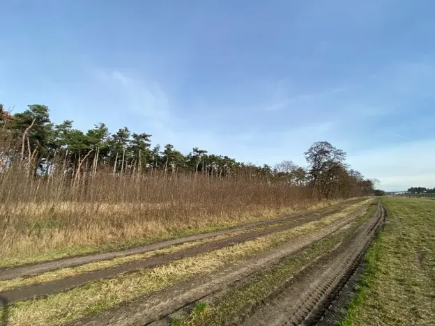 Dražba lesa, Kostelní Lhota, 9438 m2