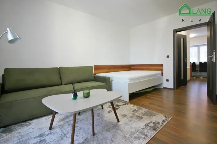 Pronájem bytu 1+1, Brno, Jeneweinova, 47 m2