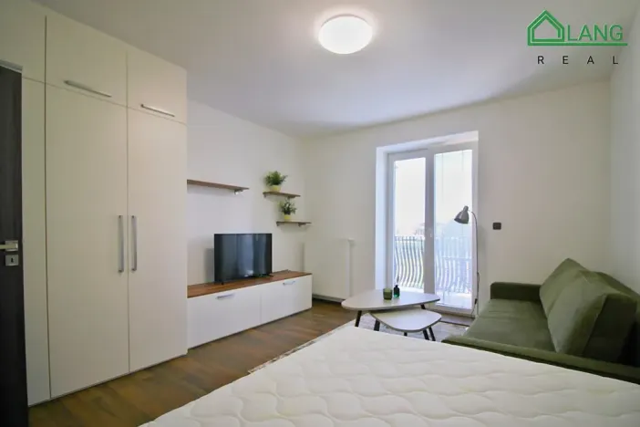 Pronájem bytu 1+1, Brno, Jeneweinova, 47 m2