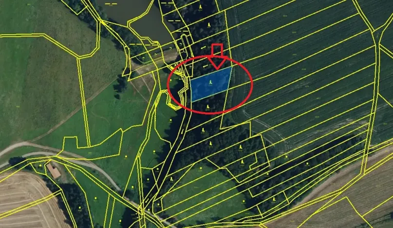 Prodej lesa, Otinoves, 1464 m2