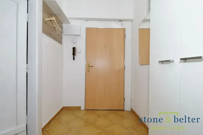 Pronájem bytu 1+1, Praha - Žižkov, Viklefova, 49 m2