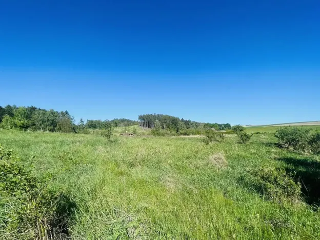 Prodej pozemku pro bydlení, Radnice, Puchmajerova, 850 m2