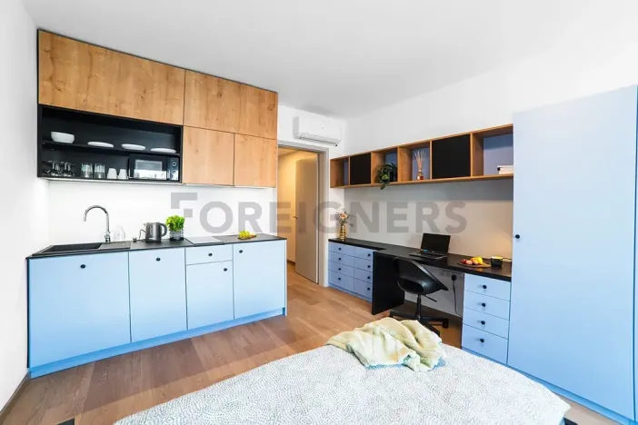 Pronájem bytu 1+kk, Olomouc, Edmunda Husserla, 27 m2