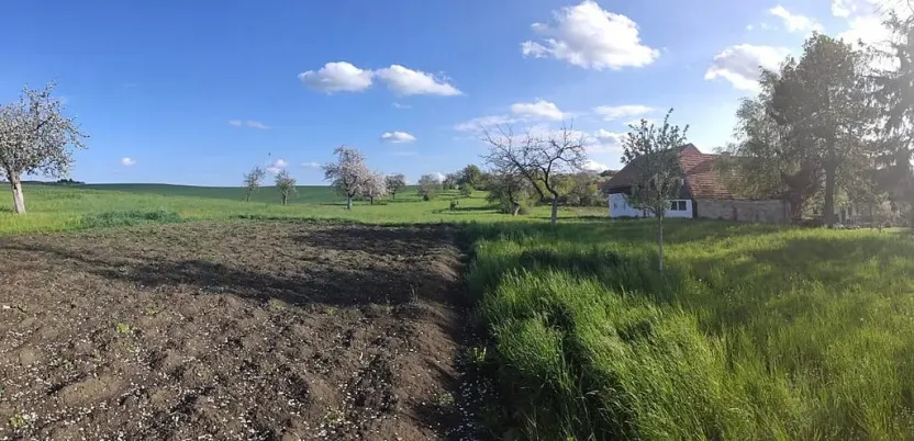 Prodej domu, Běchary, 686 m2