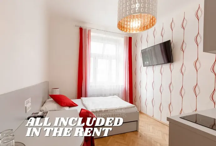 Pronájem bytu 1+kk, Praha - Nusle, Na Jezerce, 18 m2