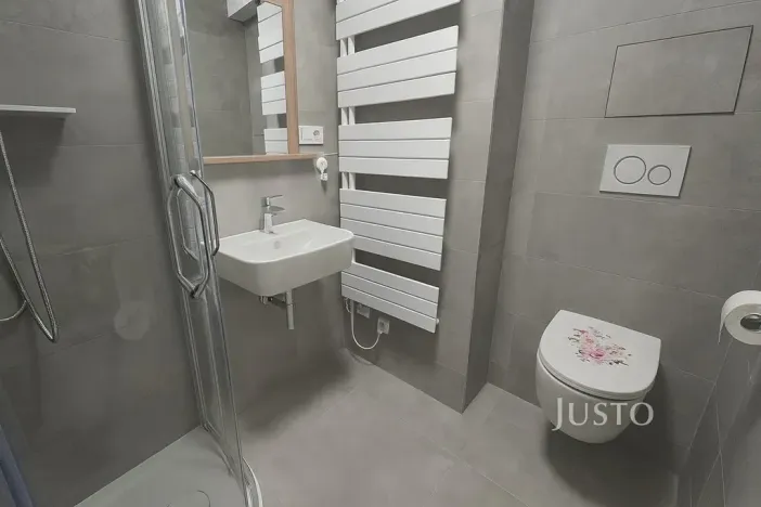 Pronájem bytu 1+kk, Písek, Pražská, 32 m2