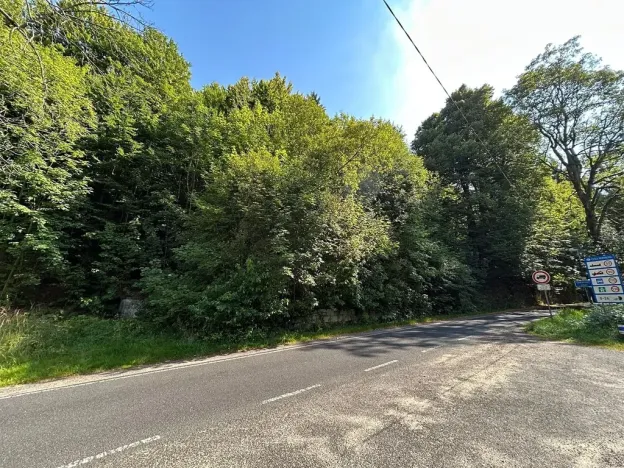 Dražba pozemku, Krompach, 21972 m2