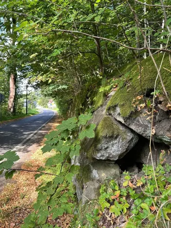 Dražba pozemku, Krompach, 21972 m2