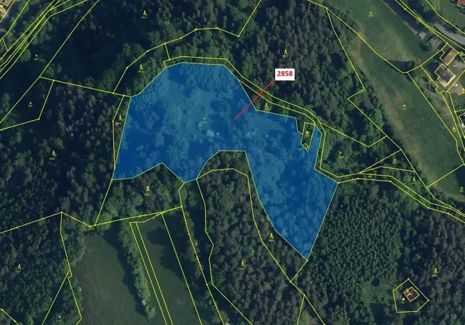 Dražba louky, Český Dub, 16722 m2