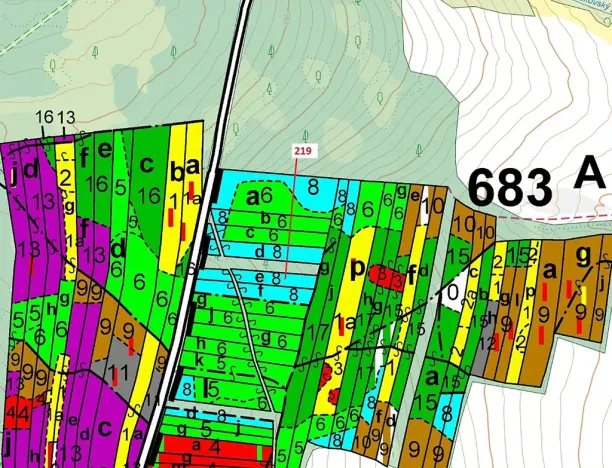 Dražba lesa, Vesce, 1673 m2
