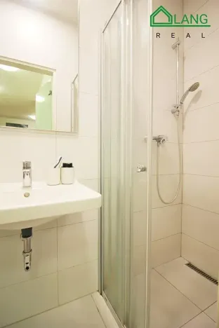 Pronájem bytu 1+kk, Brno, Rumiště, 25 m2