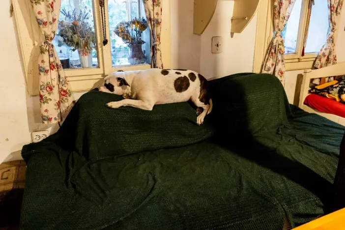 Prodej chaty, Litíč, 60 m2