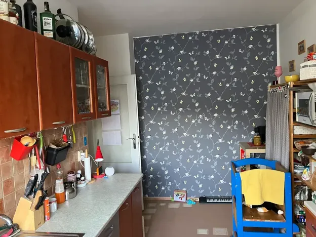 Pronájem bytu 2+1, Brno, Dolnopolní, 60 m2