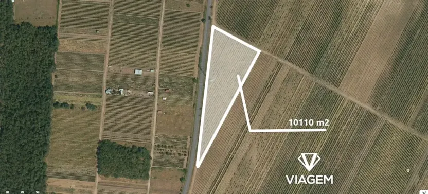 Prodej podílu pole, Hlohovec, 5055 m2