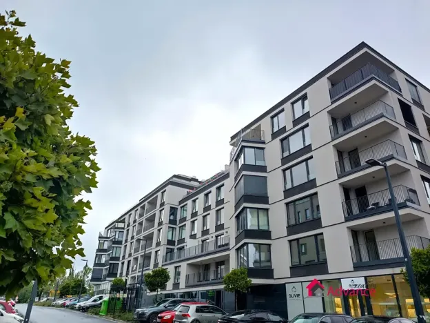 Pronájem bytu 1+kk, Ostrava, Důlní, 54 m2