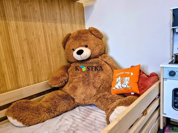 Prodej bytu 3+1, Studénka, Sjednocení, 72 m2