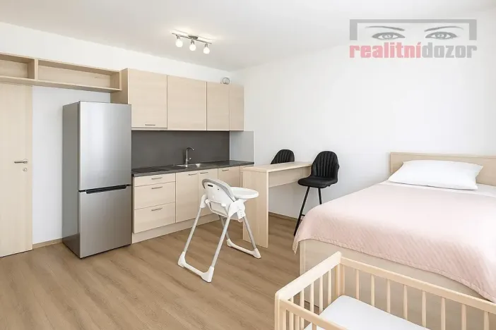 Pronájem bytu 1+kk, Brno, Sentická, 44 m2