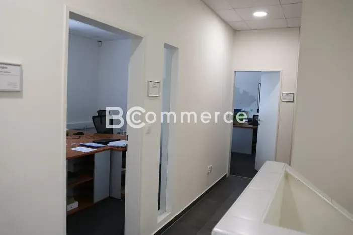 Pronájem kanceláře, Brno, 240 m2