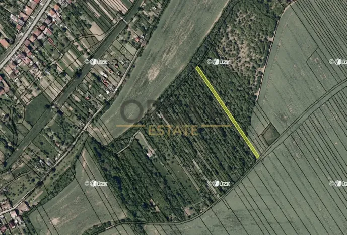 Prodej louky, Březolupy, 1729 m2