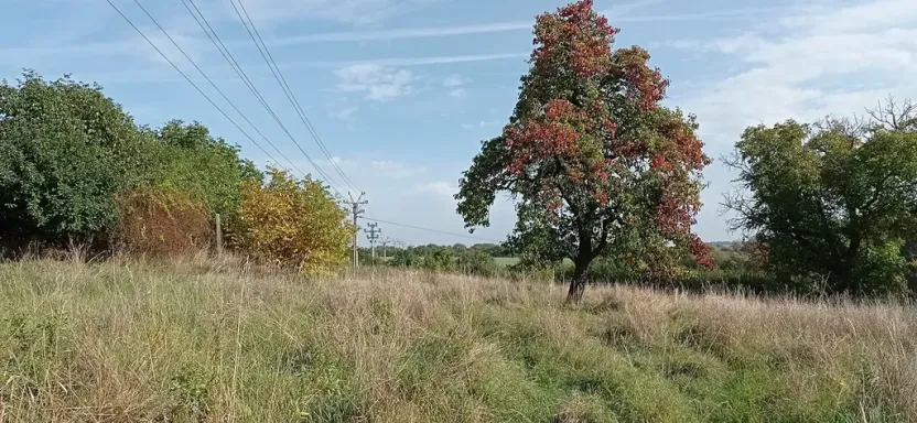 Prodej pozemku pro bydlení, Kouřim, Na Salabce, 2614 m2